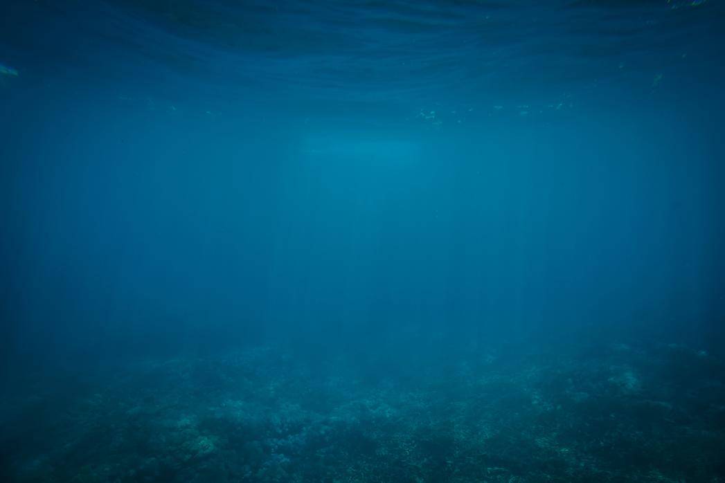 In nostrum ipsa iusto aliquam ut quo numquam enim consequatur consequatur labore